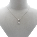 Zirkon Taşlı Deniz Yıldızı Kolye